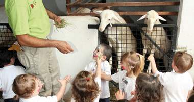 alojamiento-en-cabanas convivencia en ingles granja