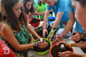 clases ciencias ingles