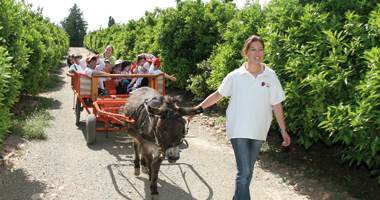 parc-de-lhorta actividad excursion huerta ingles
