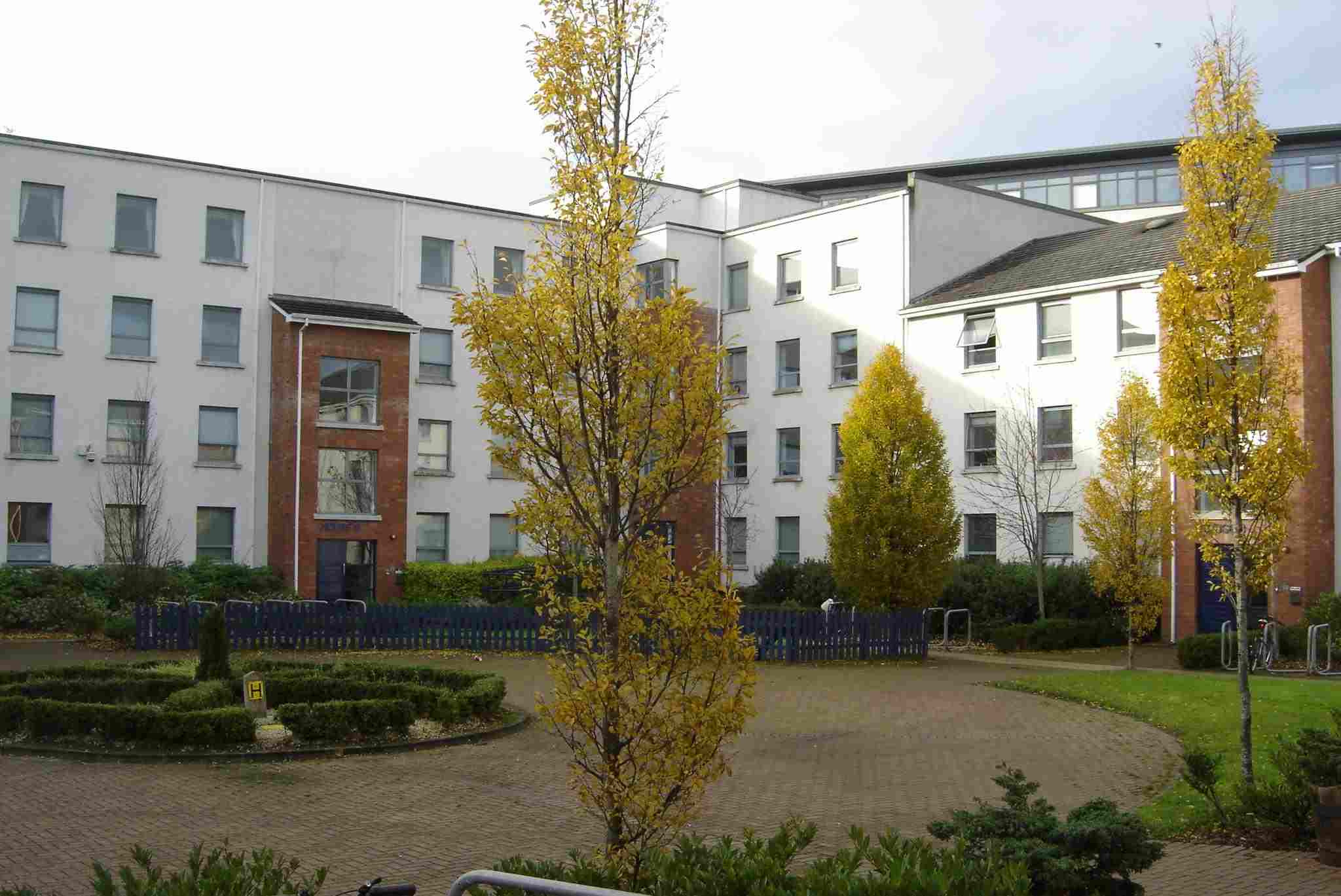 Curso de inglés en dublín Curso de inglés en dublín