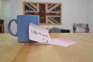 Academias de inglés