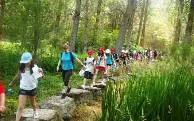 Campamentos de inglés en España para jóvenes