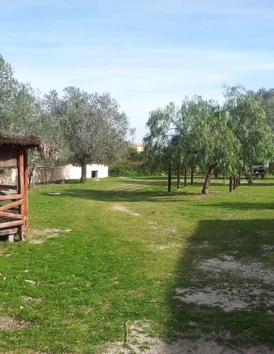 granja escuela baladre campamento en inglés
